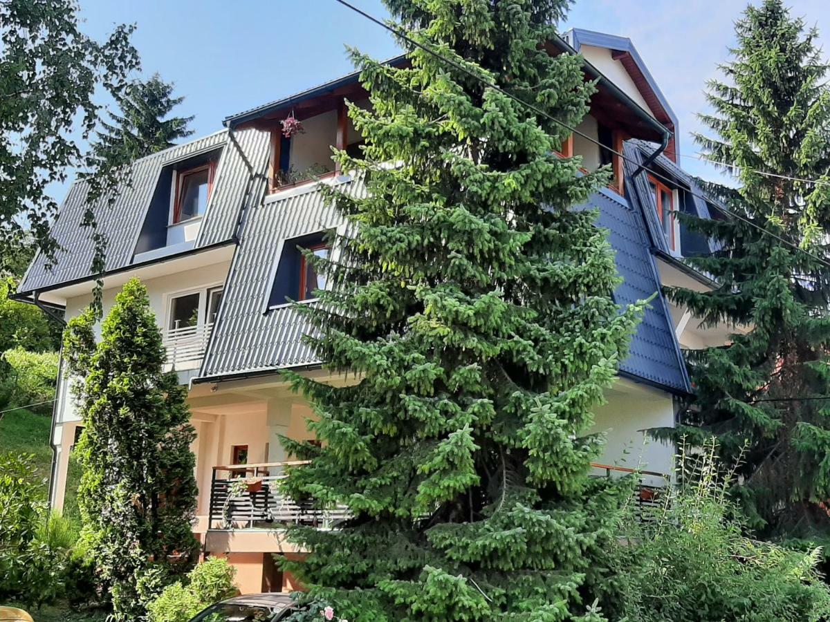Guesthouse Hill Сараево Экстерьер фото